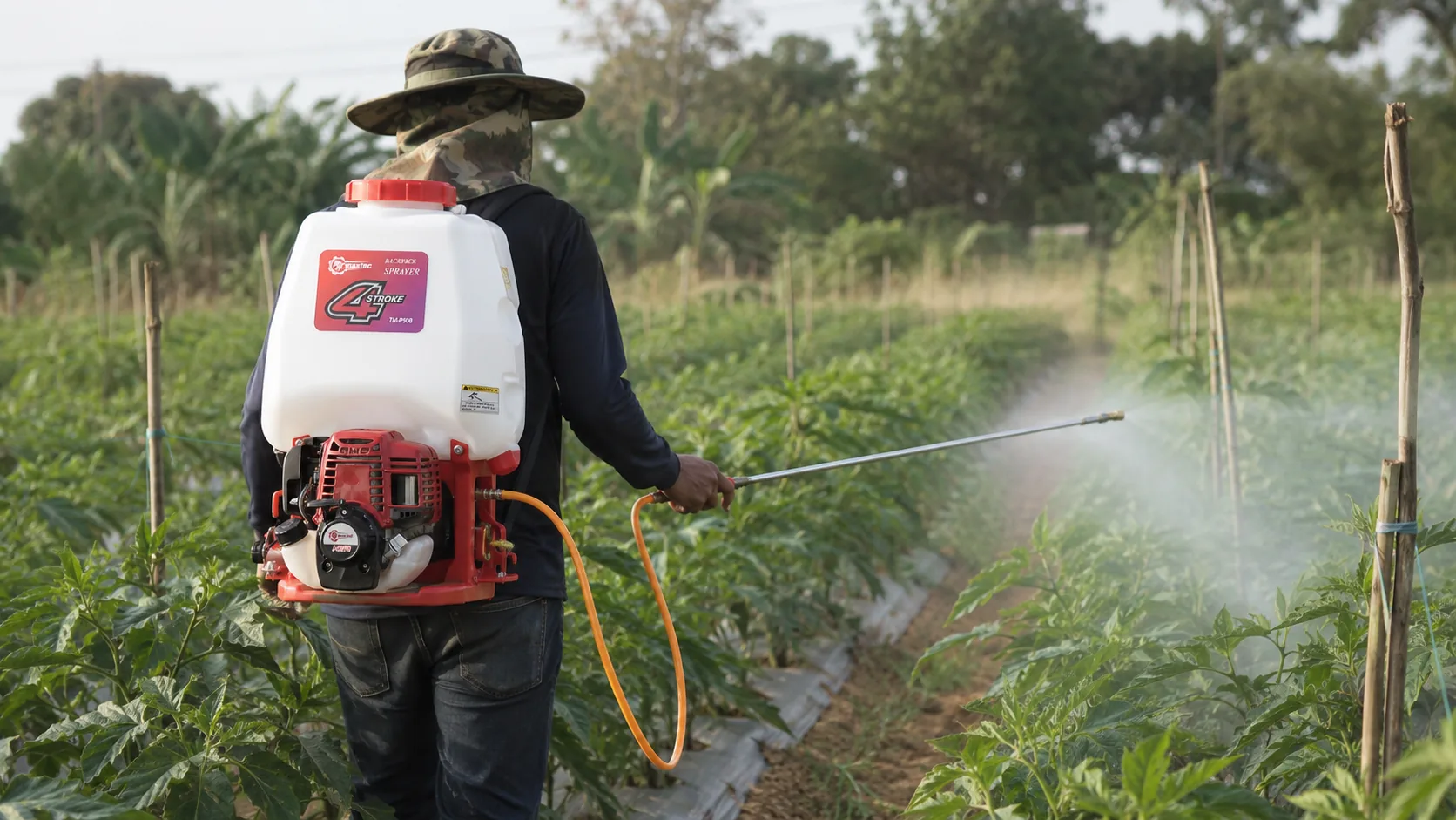 25L vs 30L Power Sprayer: Which Size Fits Your Local Market?